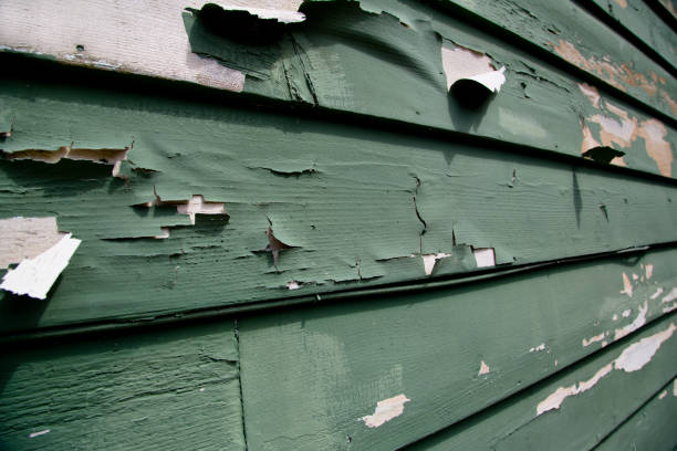 Best Dumpster Rental Services  in Conestee, SC